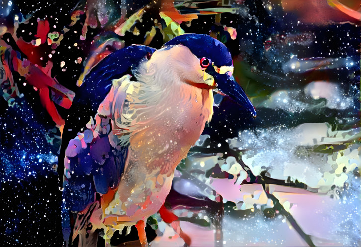 Night Heron in the stars