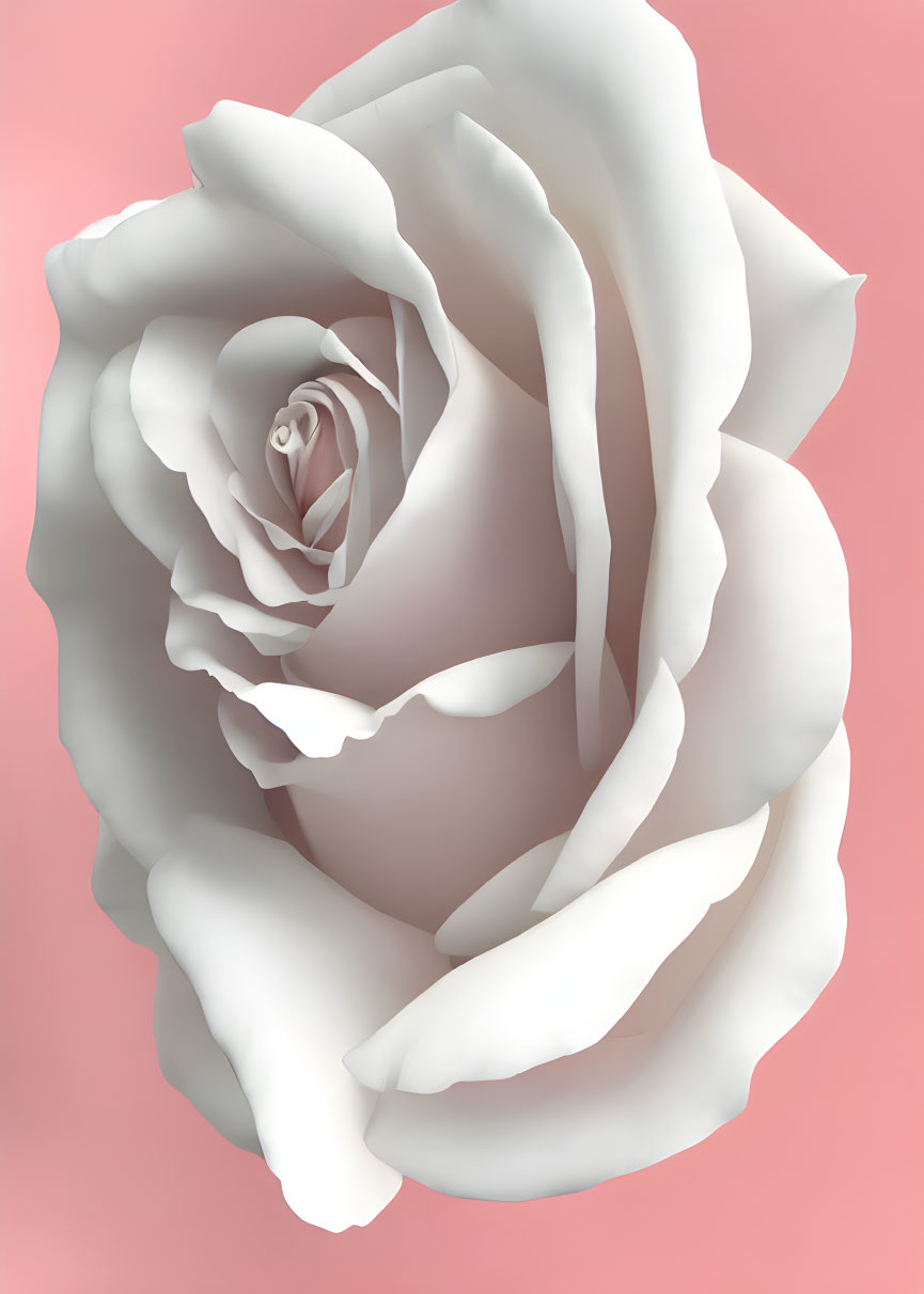 White Rose Digital Illustration on Soft Pink Background