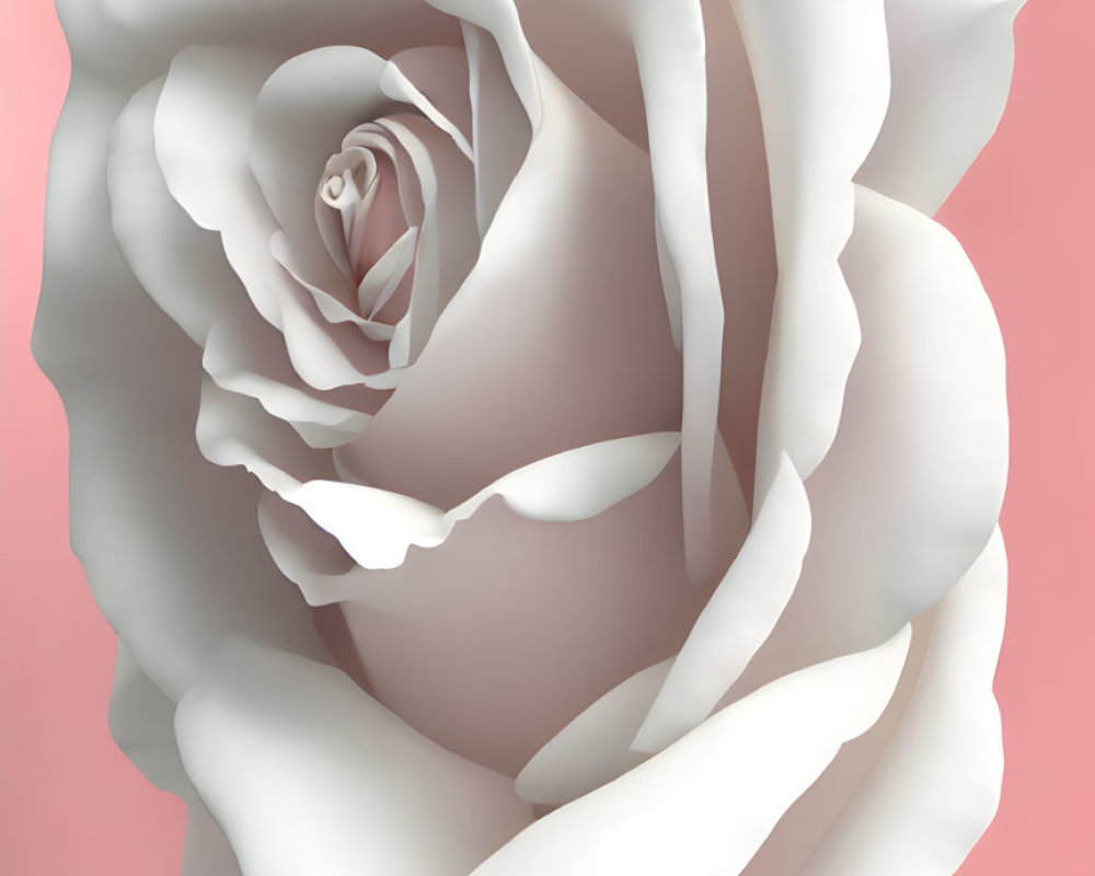 White Rose Digital Illustration on Soft Pink Background