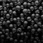 Variety of Human Skulls in Different Positions on Dark Background