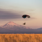 Colorful sci-fi landscape with purple volcanoes, golden fields, and UFOs under a celestial sky