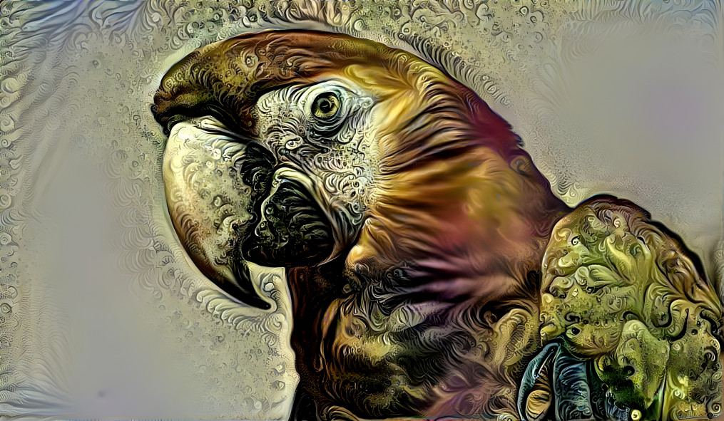 Parrot