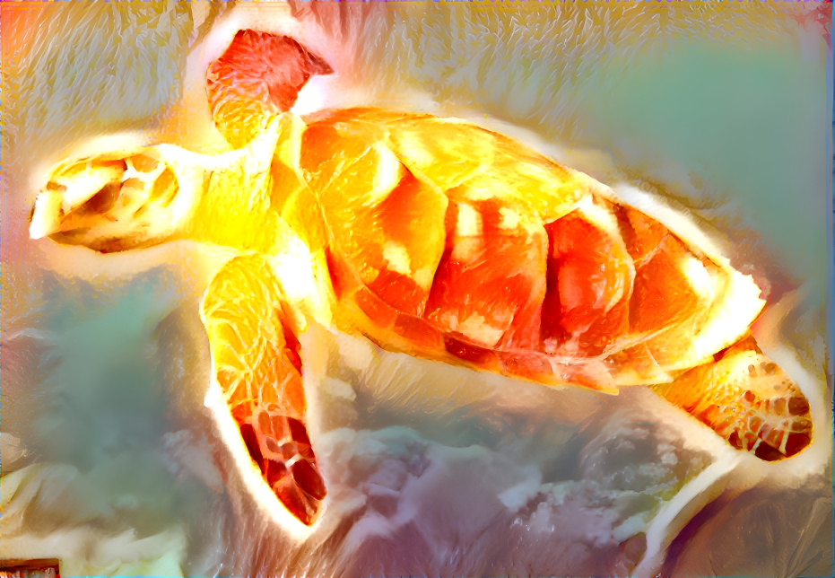 Orange turtle