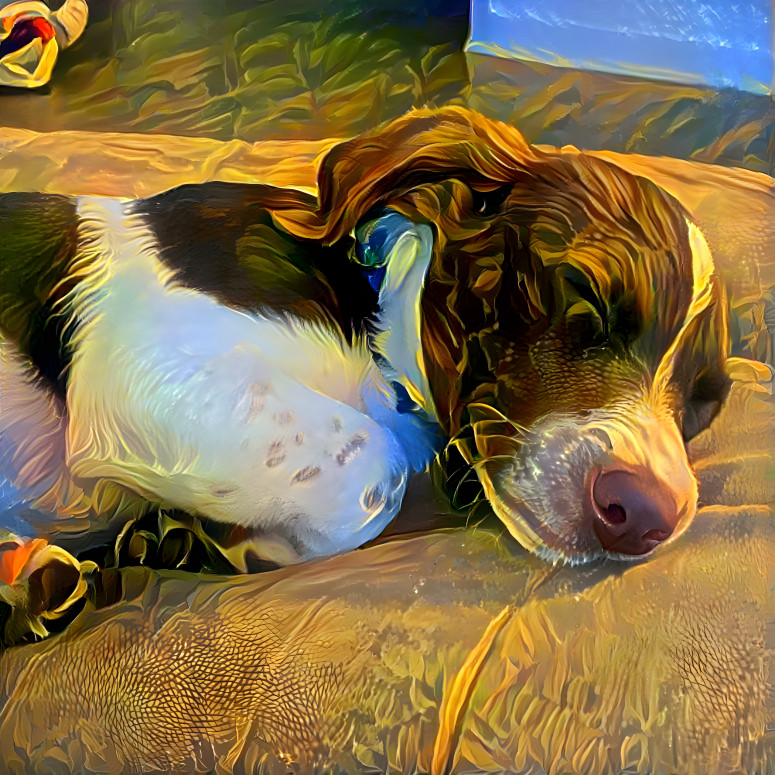 Deep Dreamin' Doggie