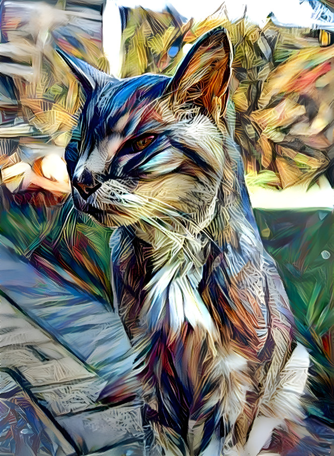 Khajit