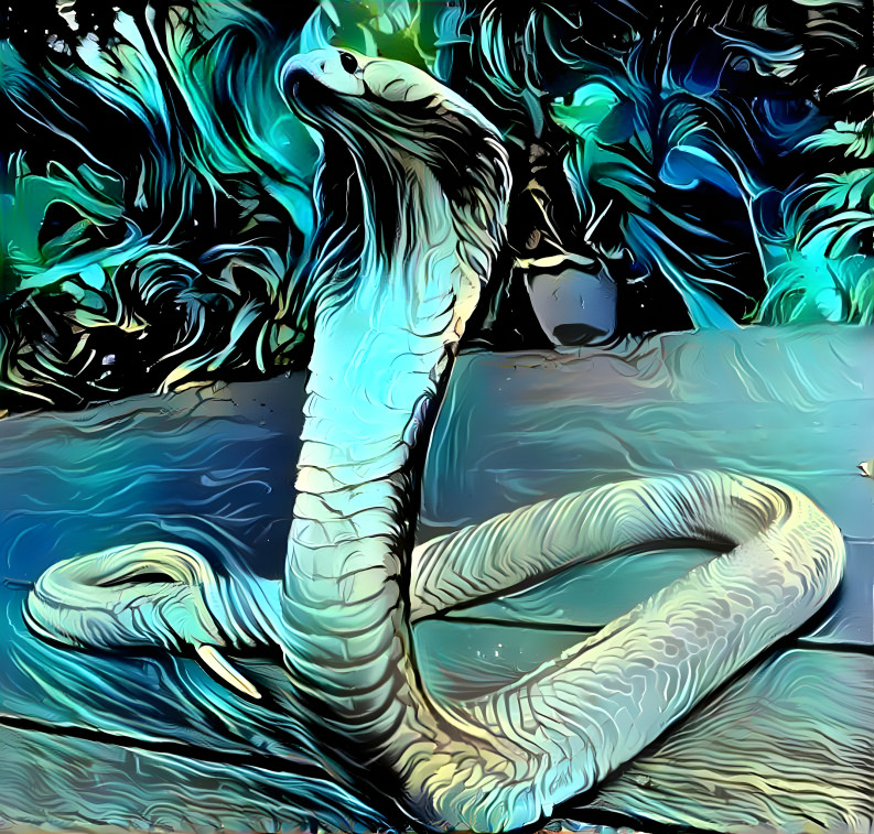 Albino Monocled Cobra