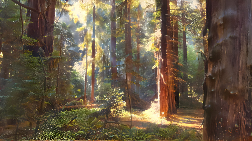 Magical Redwoods