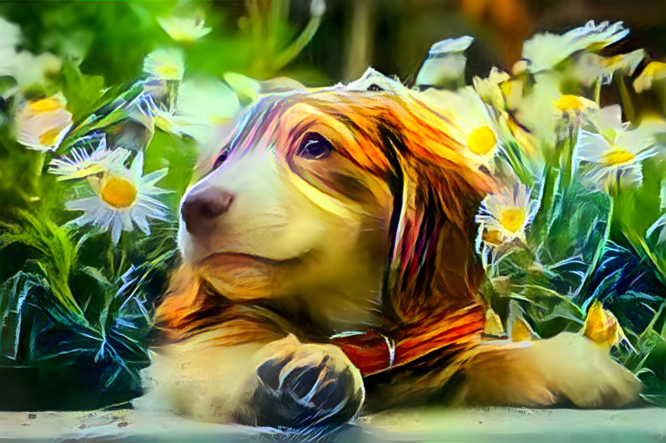 Dreaming In Flowers