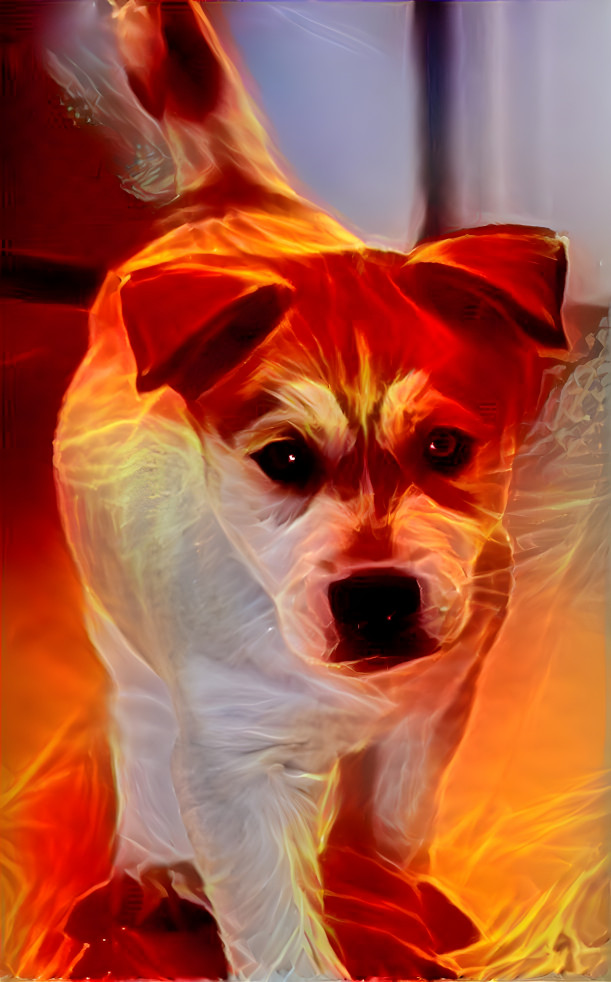 fire dog