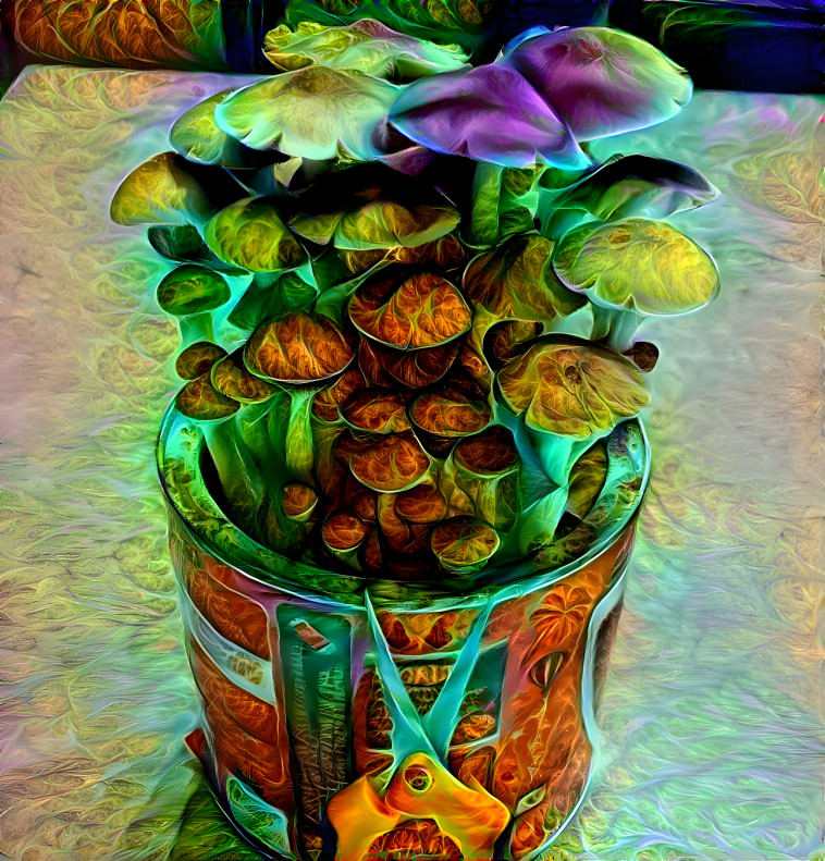 Trippy Mushrooms 