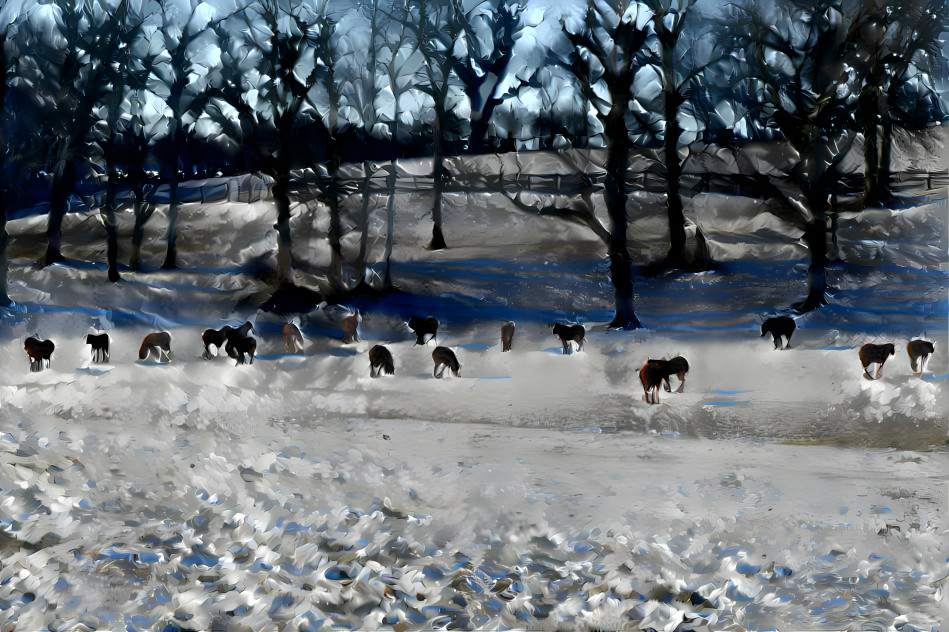 Horses  in the Snow