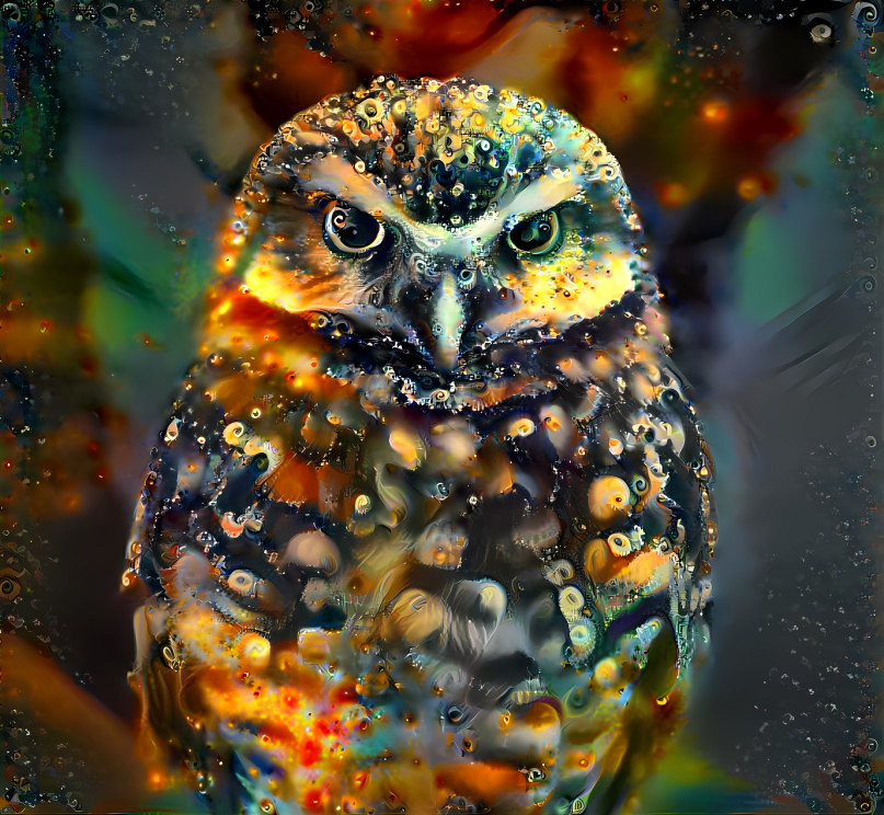 Infinite Owl