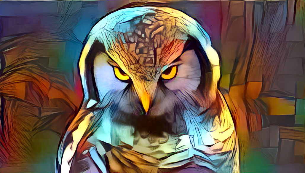 owl