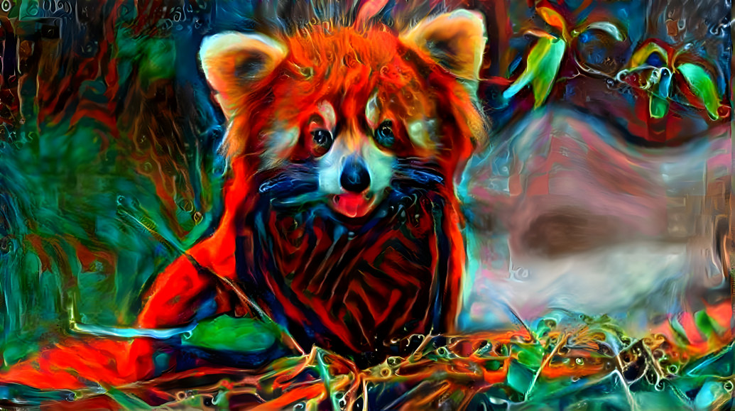 red panda