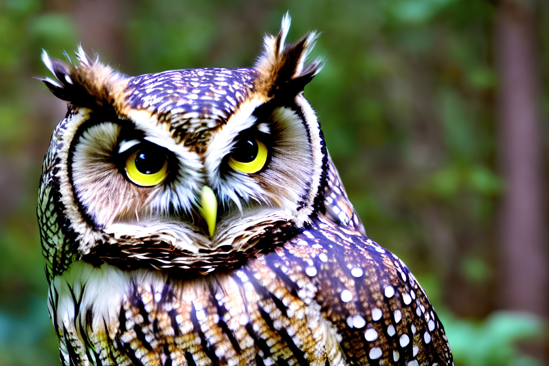 Striking yellow-eyed owl with speckled feathers and sharp beak