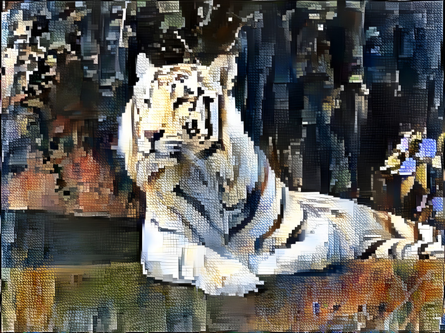 white tiger