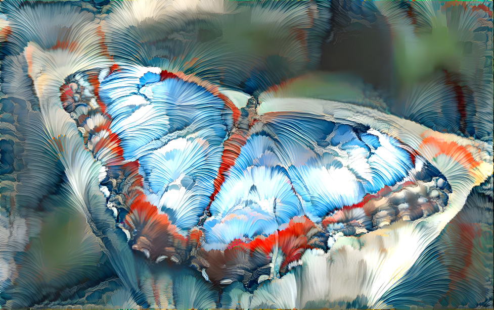 butterfly