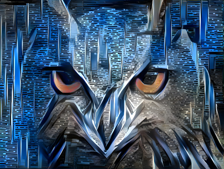 owl