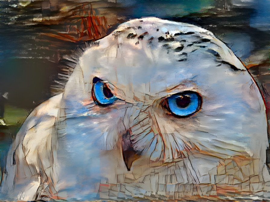 owl