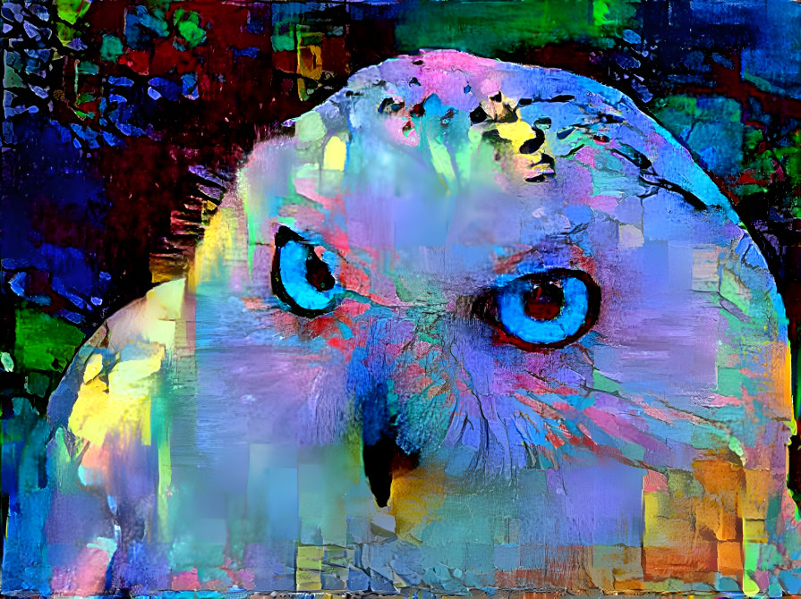 owl