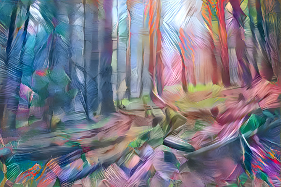 dreamy forest