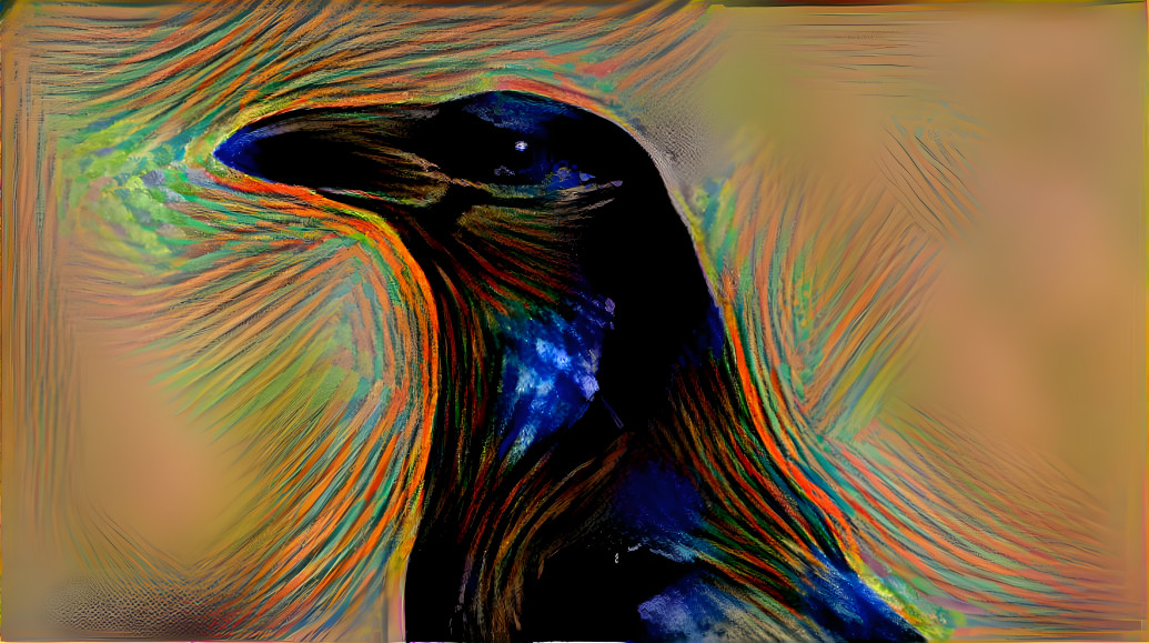 crow