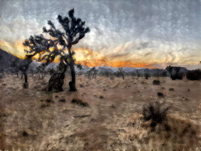 Joshua Tree