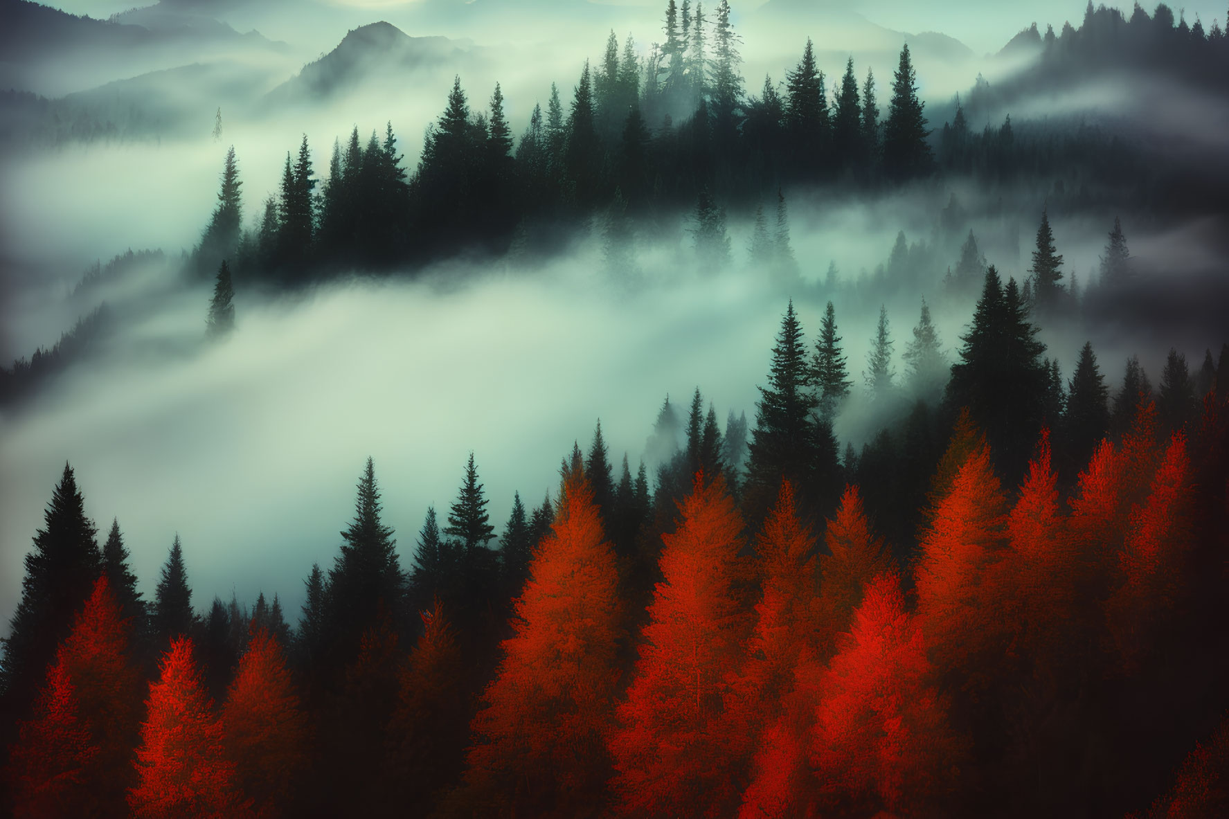 Mystical forest landscape with mist, evergreen trees, autumn foliage, and overcast sky