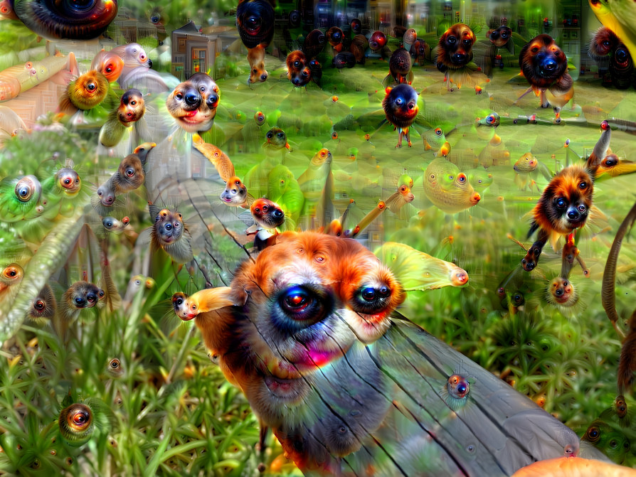 FurbyForrest