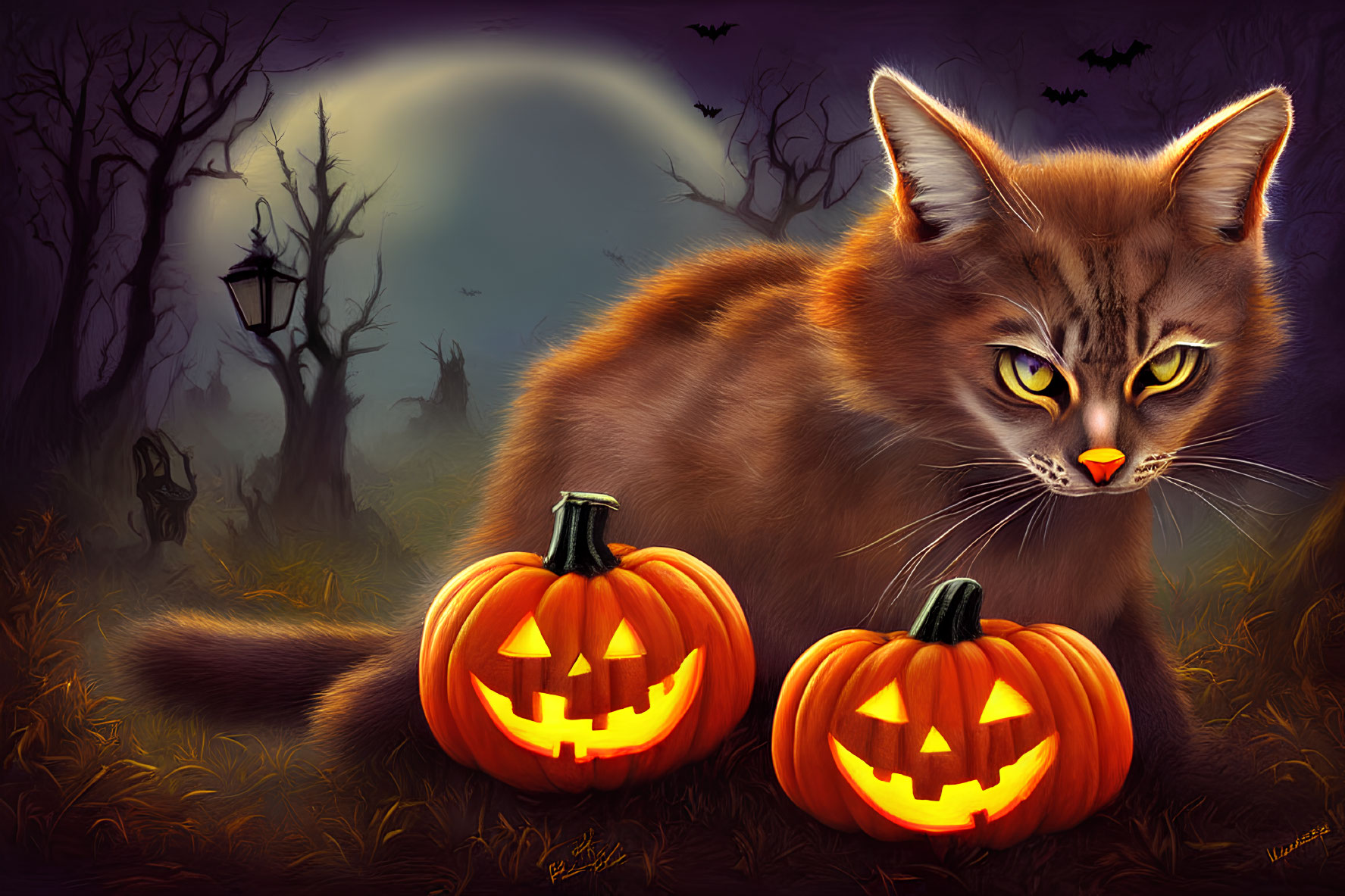 Halloween wild cat