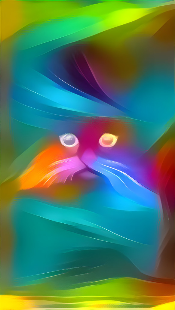 Cat in Rainbow