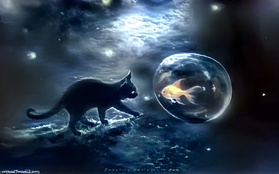 Black cat and goldfish in space