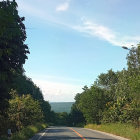 Tranquil forest scene with winding road, river, tall trees, golden foliage & birds