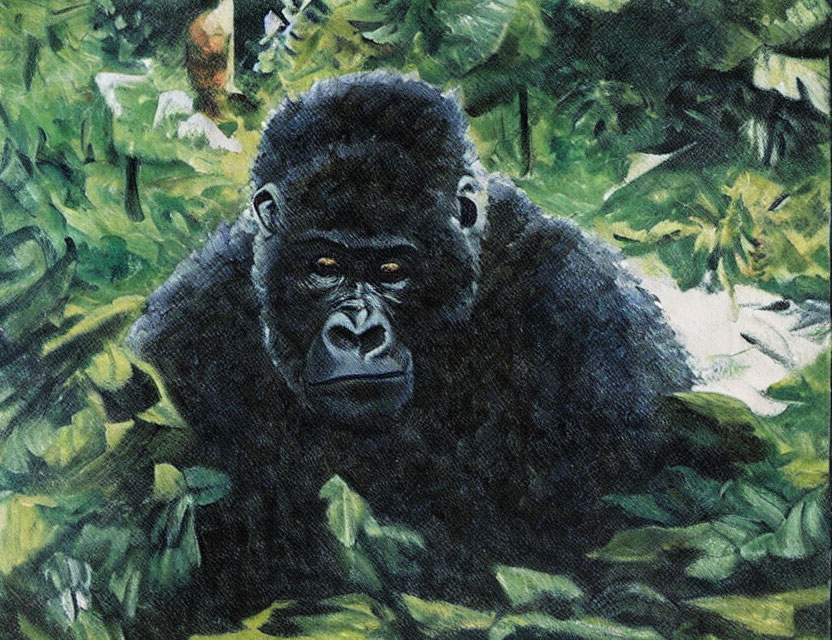 Gorilla in Green Foliage with Intense Eyes