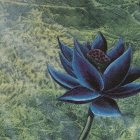 Purple Lotus Flower on Textured Grey Background with Copy Space