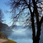 Colorful Geometric Landscape with Lake, Trees, and Sky