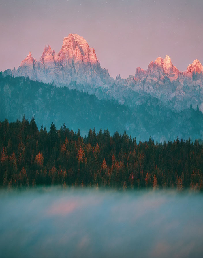 Alpenglow illuminates misty forest and mountain peaks at twilight