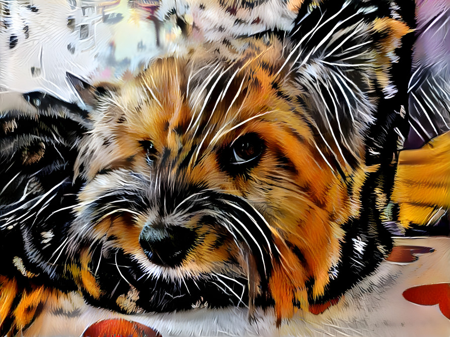 TiggerDOG