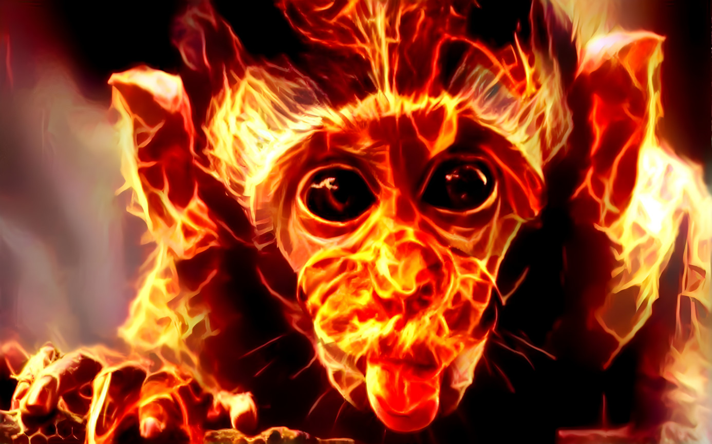 Firemonkey