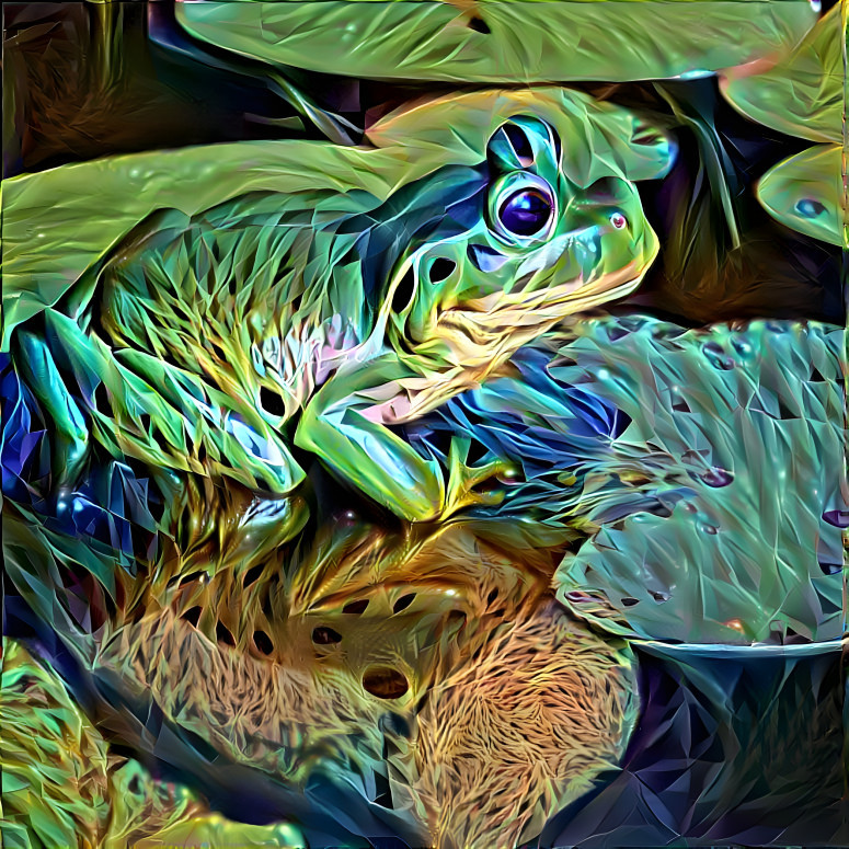 The Other Frog