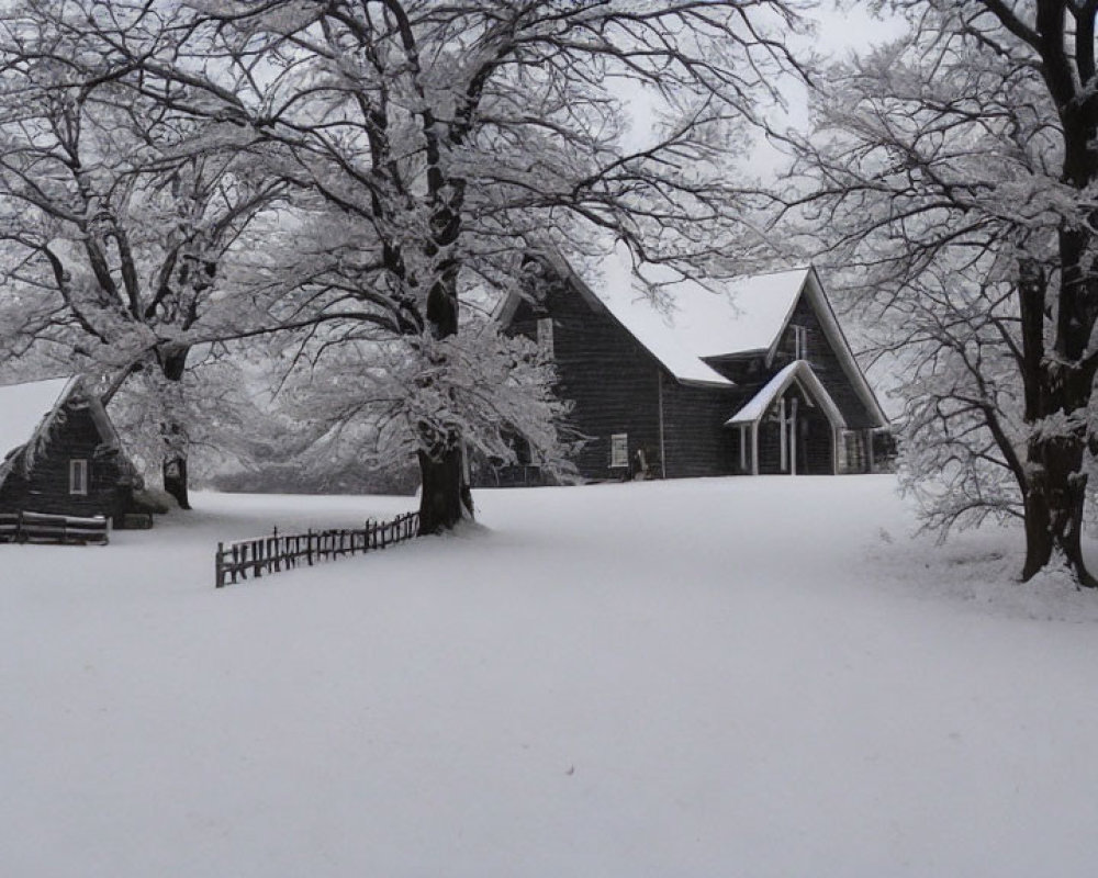 Winter scene with snow-covered trees and traditional buildings contrasted by dark wood.