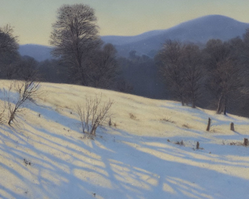 Snow-covered Winter Landscape with Leafless Trees and Hills in Soft Blue Sky