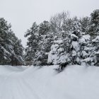 Snowy Winter Landscape with Trees, Animals, and Cabin