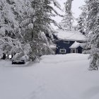 Winter scene with snow-covered trees and traditional buildings contrasted by dark wood.