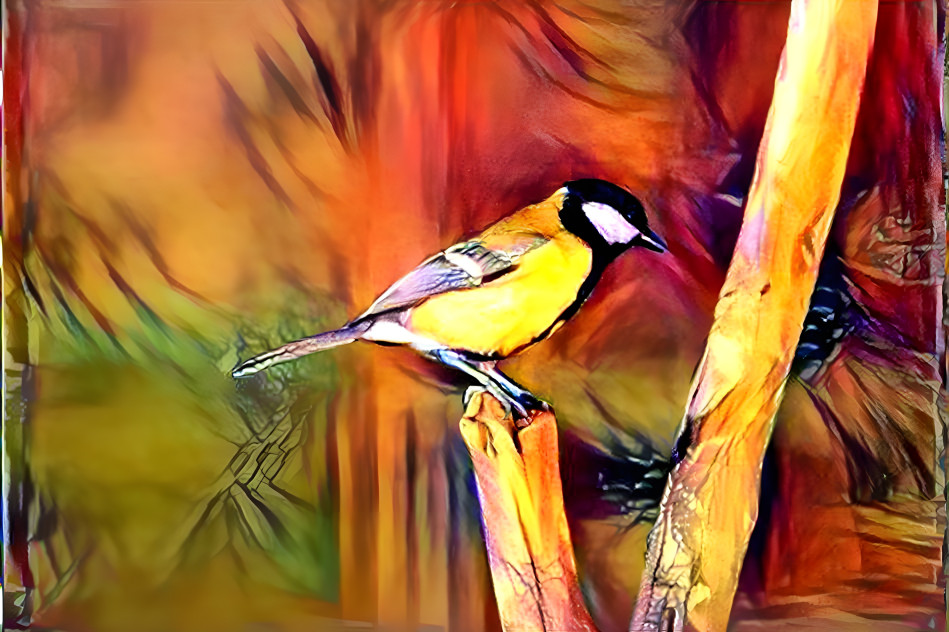 Great Tit 10