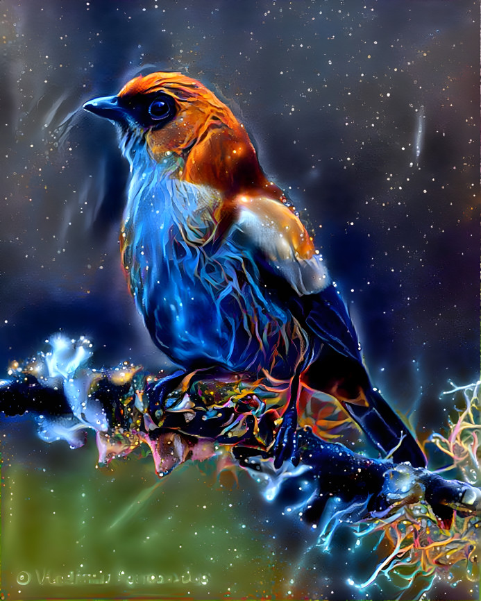 Space Bird