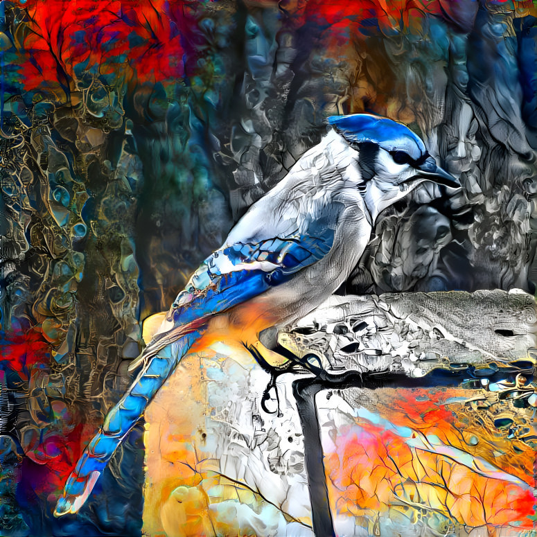 WInter Blue Jay Deep Style