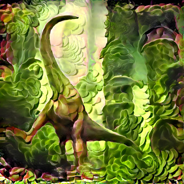 Succulent Dinosaur 