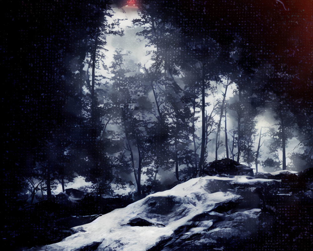 Misty forest with dense trees and rocky foreground under gloomy sky