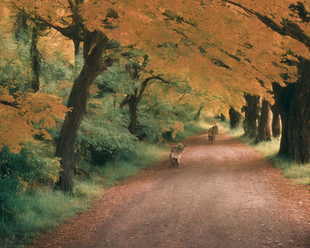 Tranquil autumn path with golden foliage, trees, animal, and distant figure